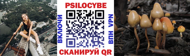 Галлюциногенные грибы прущие грибы  Купить где  Баксан 